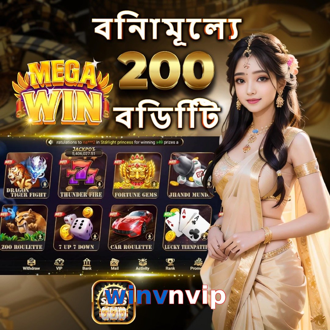 winvnvip
