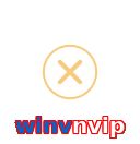 winvnvip