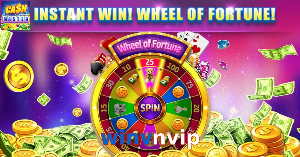 winvnvip