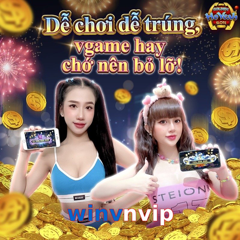 winvnvip