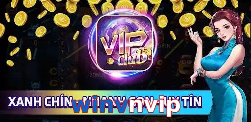 winvnvip