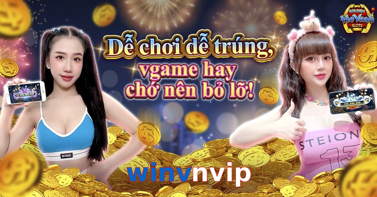 winvnvip