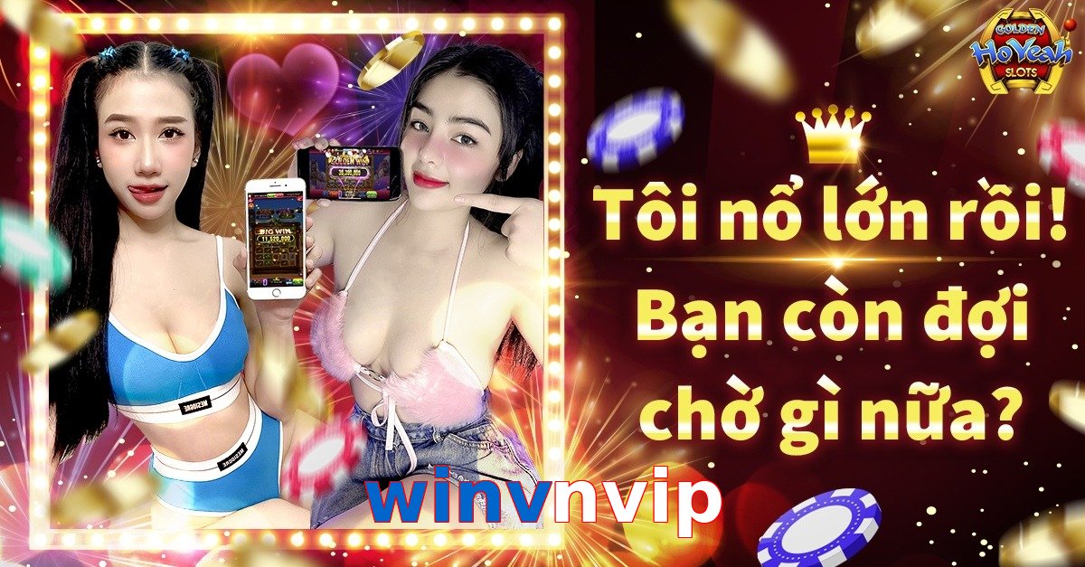 winvnvip