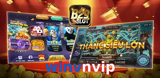 winvnvip