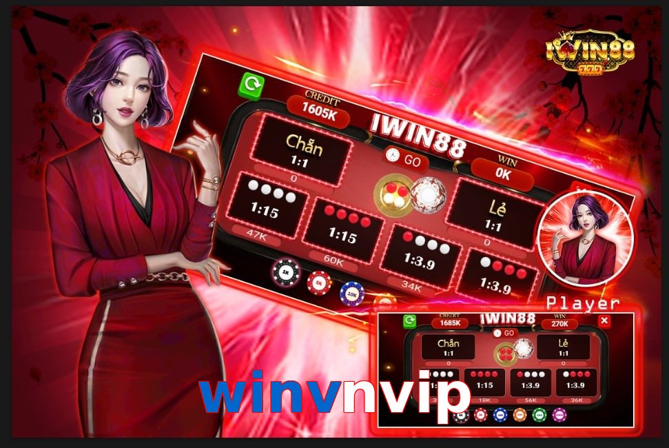 winvnvip