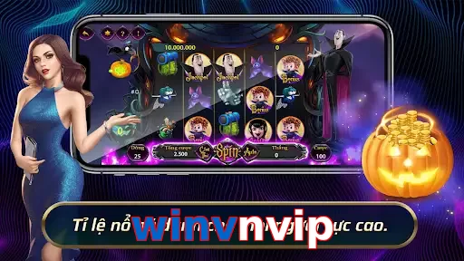 winvnvip