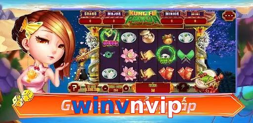 winvnvip