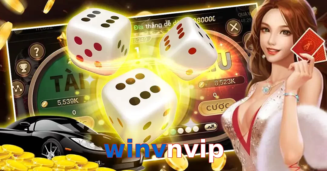winvnvip