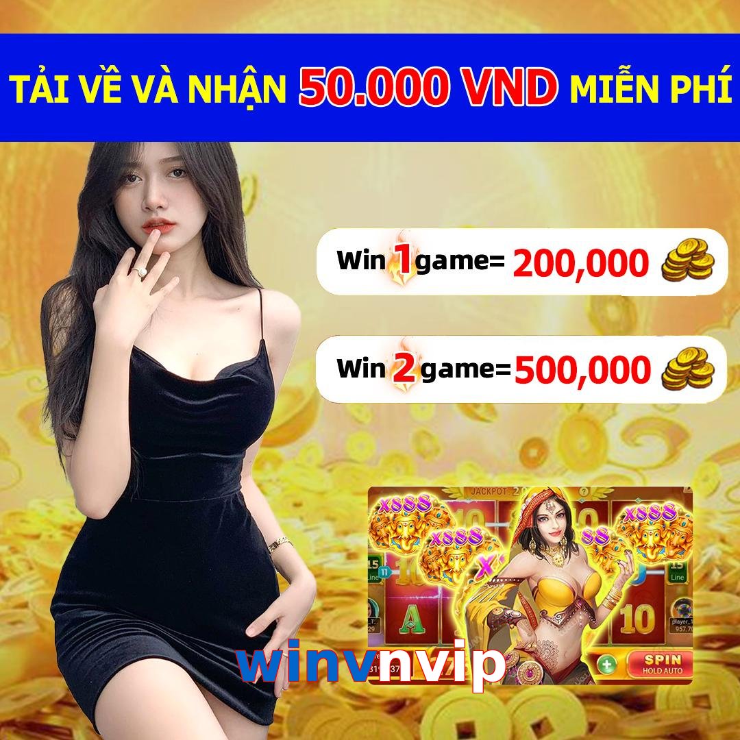 winvnvip