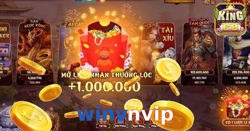 winvnvip