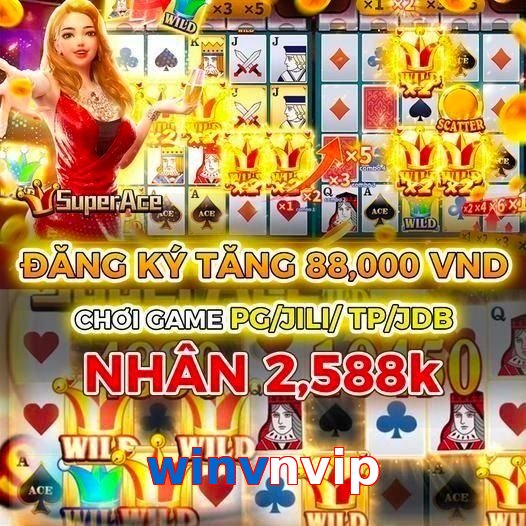 winvnvip