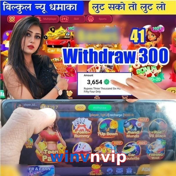 winvnvip