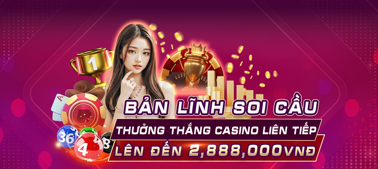 winvnvip