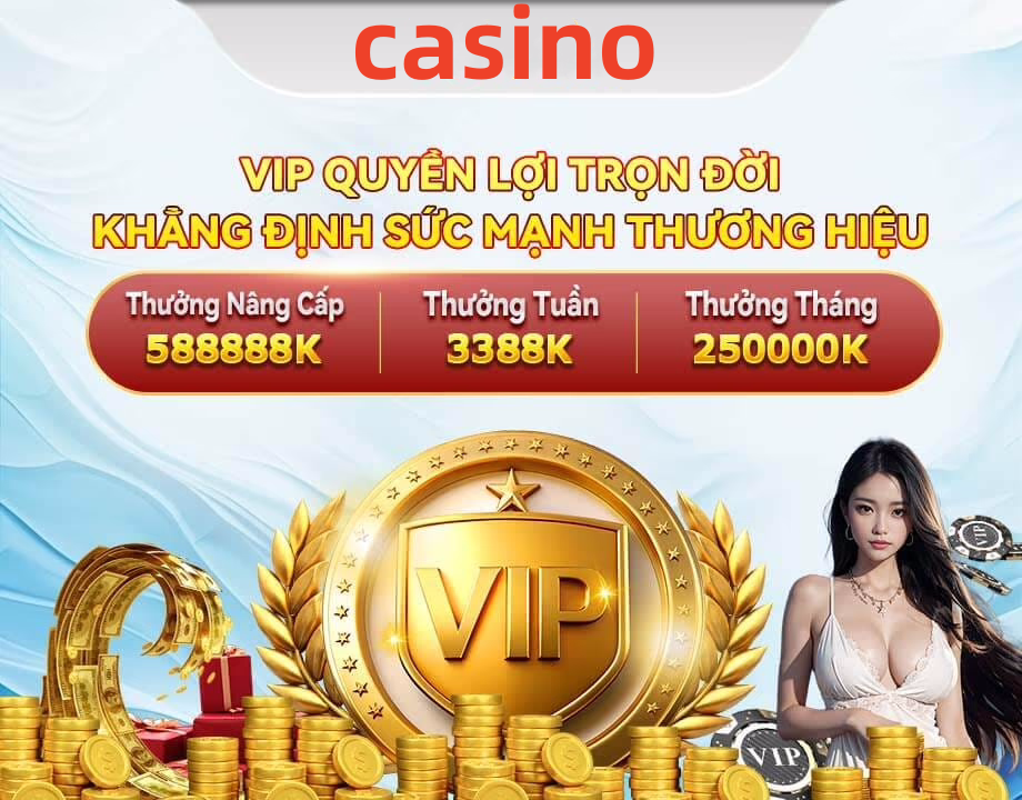 winvnvip