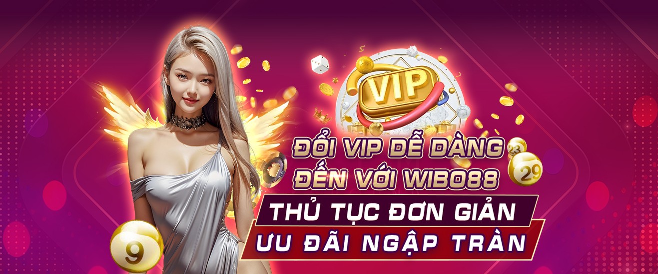winvnvip