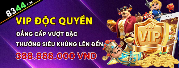 winvnvip
