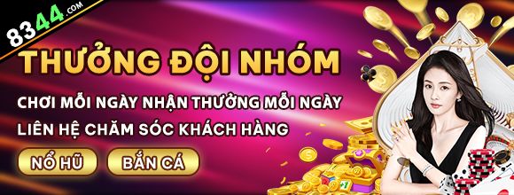 winvnvip