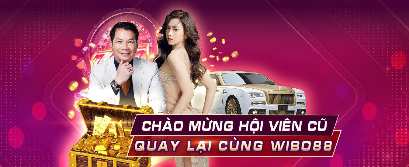 winvnvip