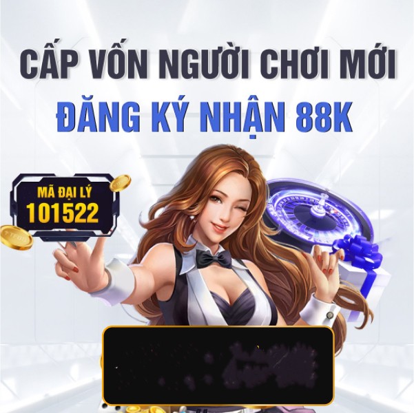 winvnvip