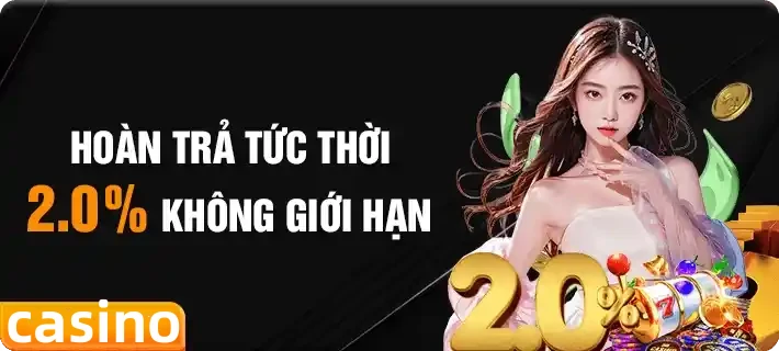 winvnvip