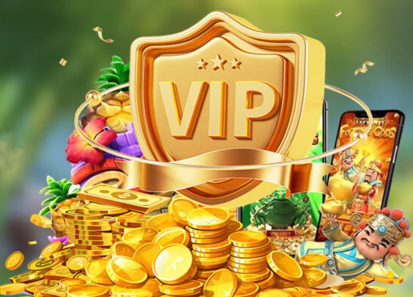 winvnvip