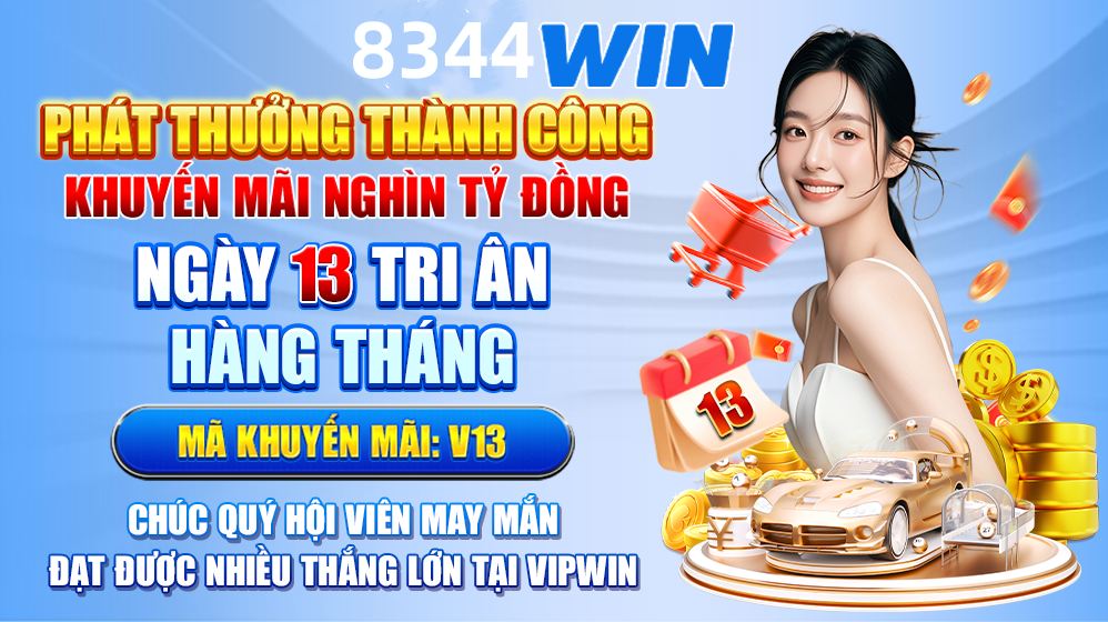 winvnvip