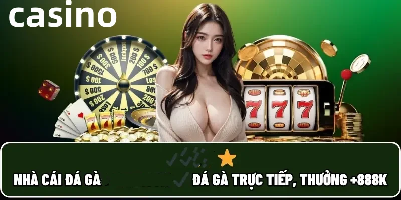winvnvip