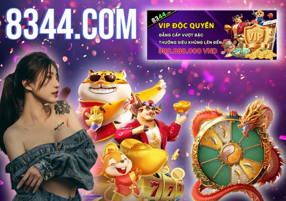 winvnvip