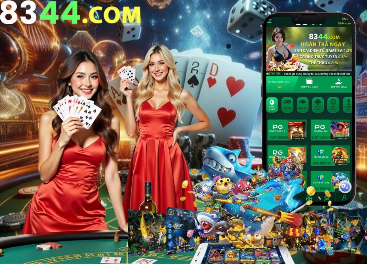 winvnvip