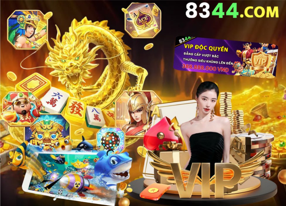 winvnvip