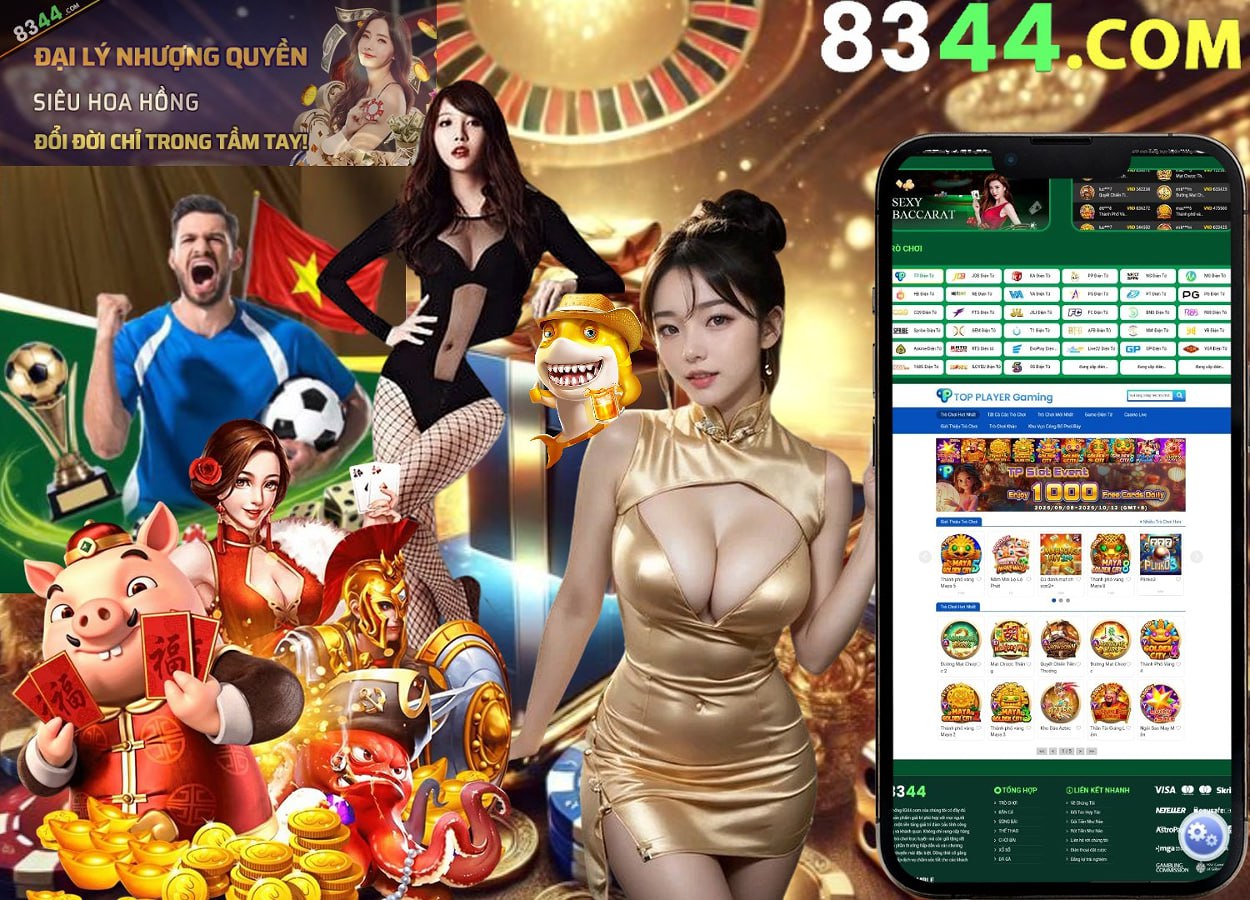 winvnvip