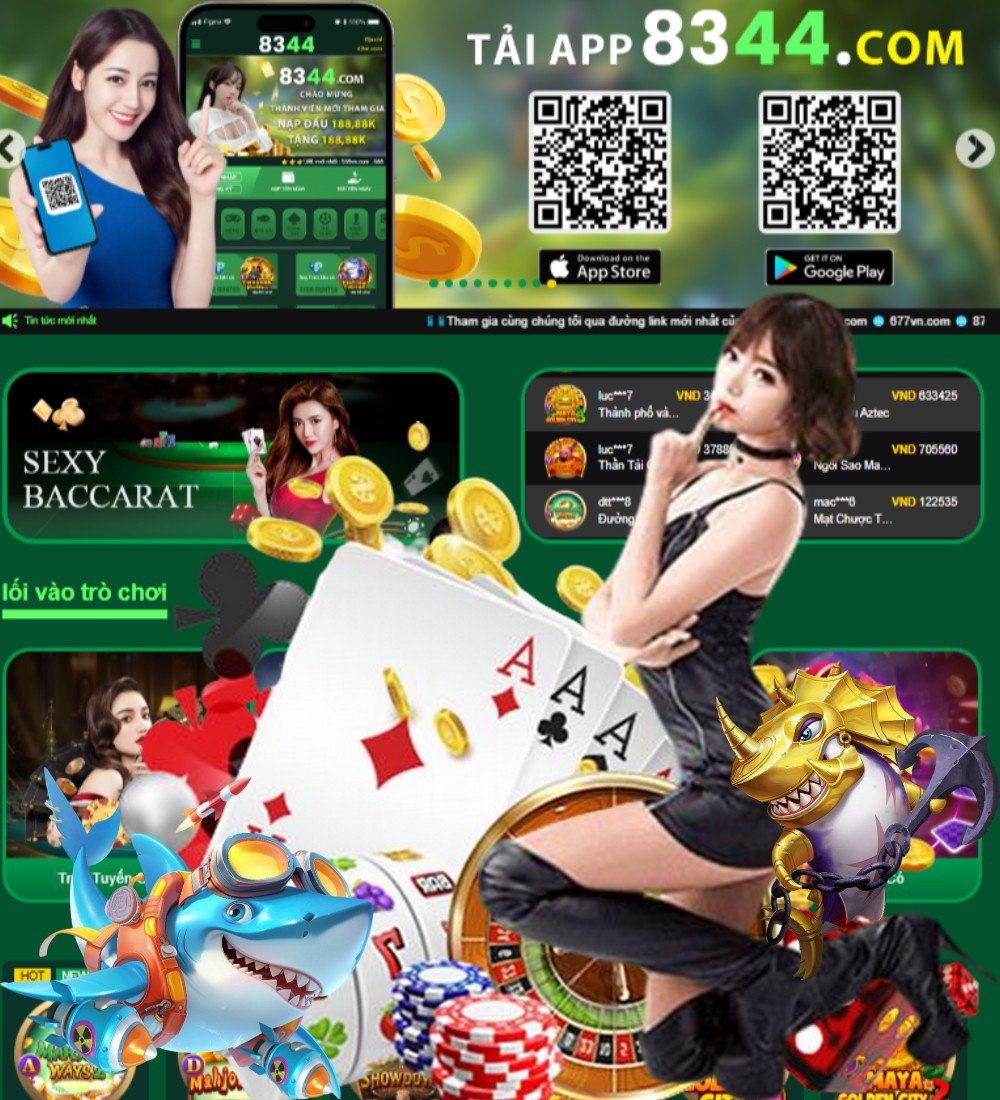 winvnvip