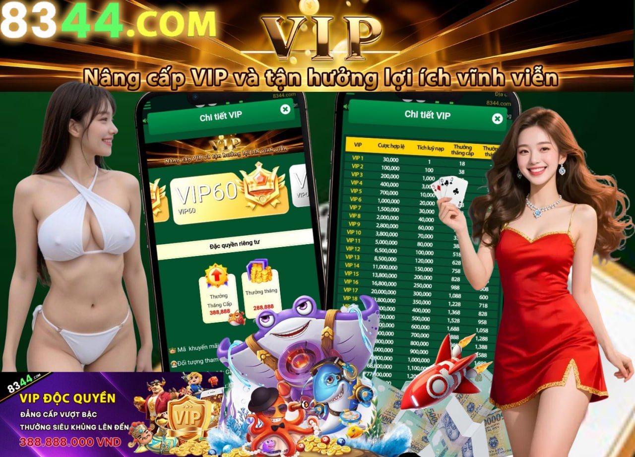 winvnvip