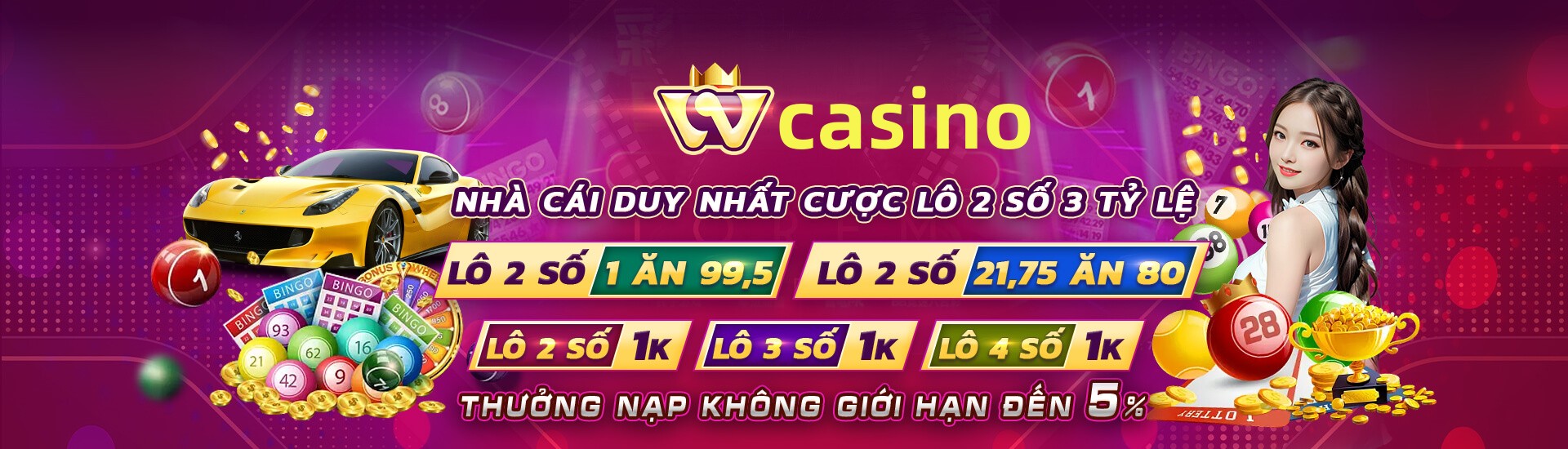 winvnvip